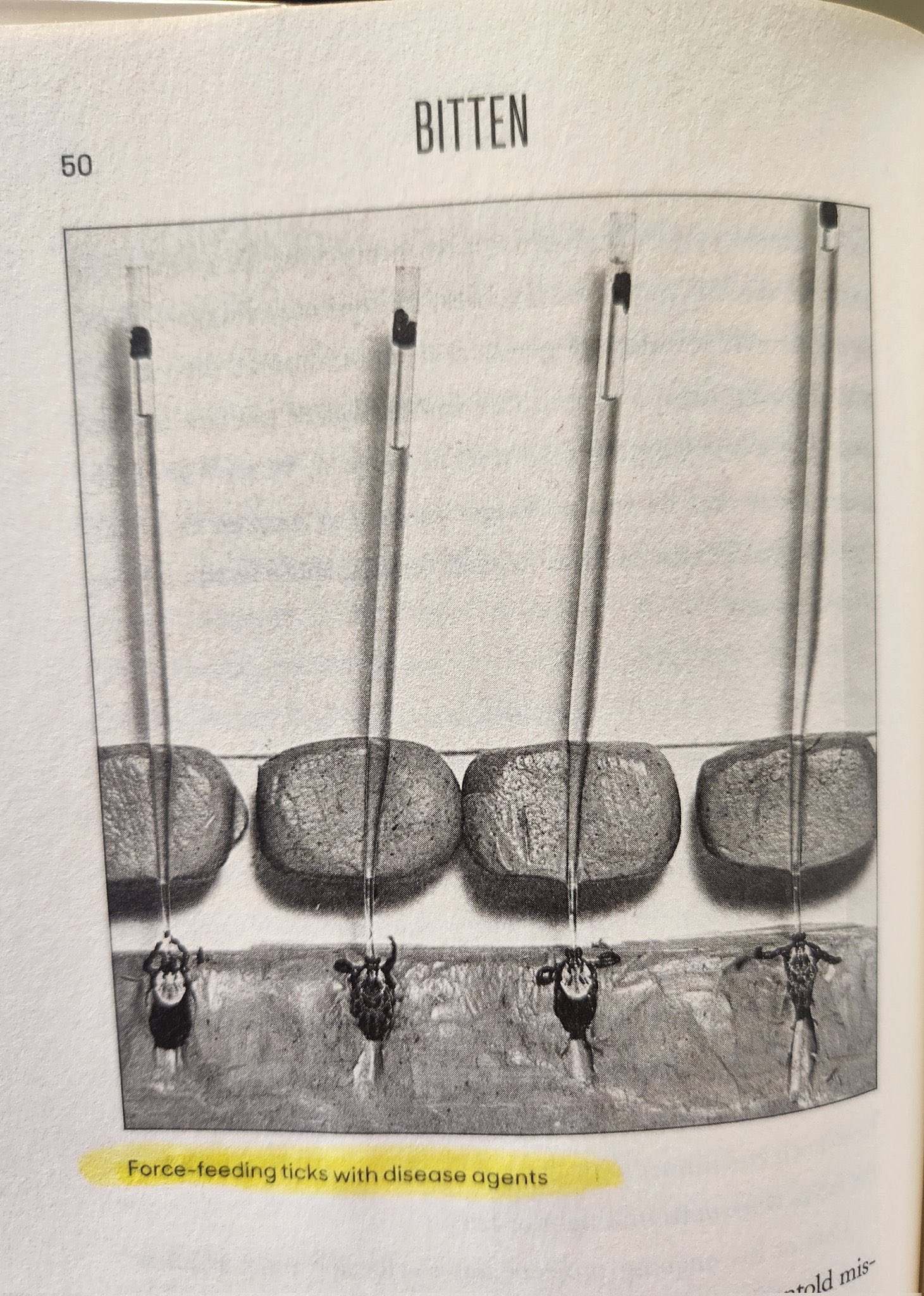 Government tick bioweapons documents